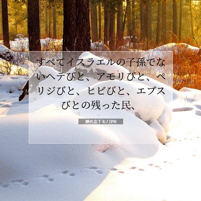 歴代志下 8:7 聖書の一節の解説