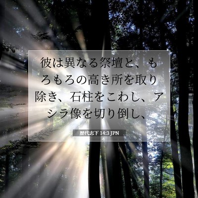 歴代志下 14:3 聖書の一節の解説