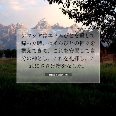 歴代志下 25:14 聖書の一節の解説