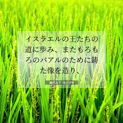歴代志下 28:2 聖書の一節の解説