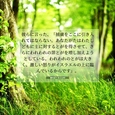歴代志下 28:13 聖書の一節の解説