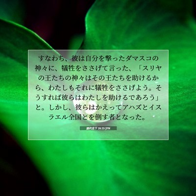 歴代志下 28:23 聖書の一節の解説