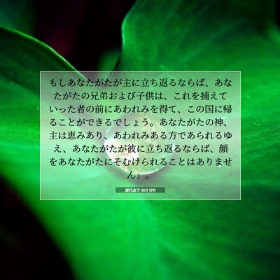 歴代志下 30:9 JPN 聖書の一節の画像