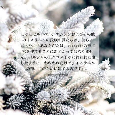 エズラ記 4:3 JPN 聖書の一節の画像