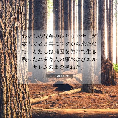 ネヘミヤ記 1:2 聖書の一節の解説