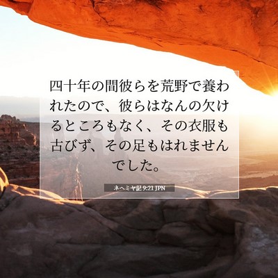 ネヘミヤ記 9:21 聖書の一節の解説