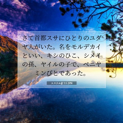 エステル記 2:5 聖書の一節の解説