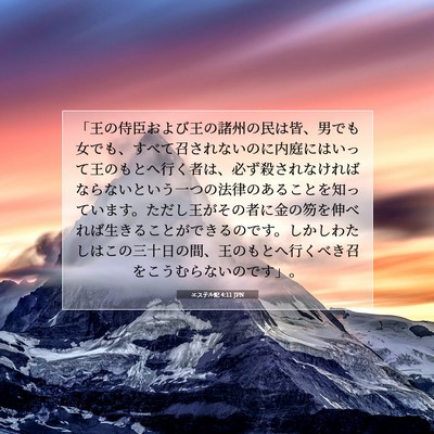 エステル記 4:11 JPN 聖書の一節の画像