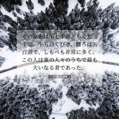 ヨブ記 1:3 聖書の一節の解説