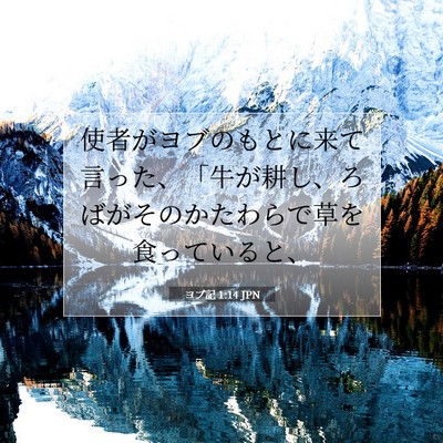 ヨブ記 1:14 聖書の一節の解説