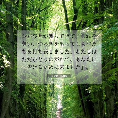 ヨブ記 1:15 聖書の一節の解説