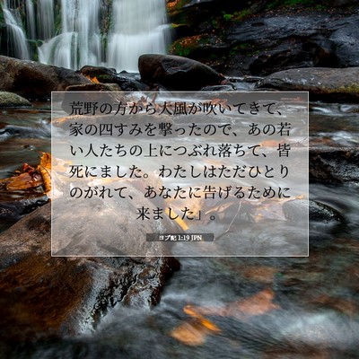 ヨブ記 1:19 聖書の一節の解説
