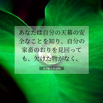 ヨブ記 5:24 JPN 聖書の一節の画像