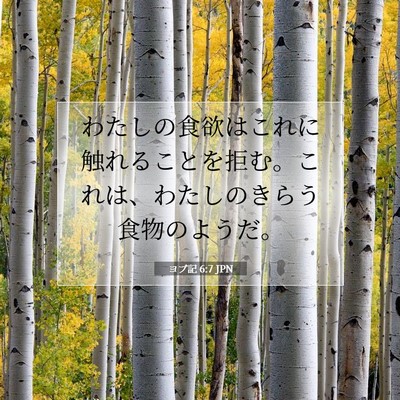 ヨブ記 6:7 聖書の一節の解説
