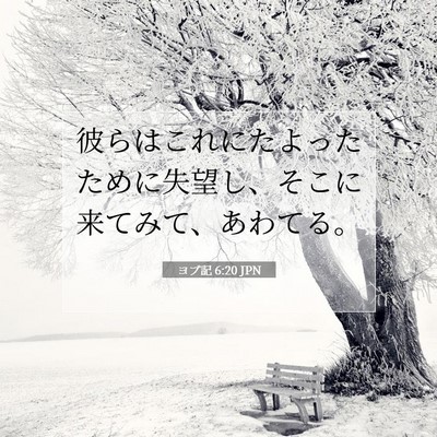 ヨブ記 6:20 聖書の一節の解説