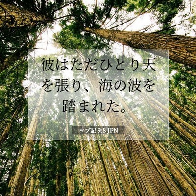 ヨブ記 9:8 聖書の一節の解説