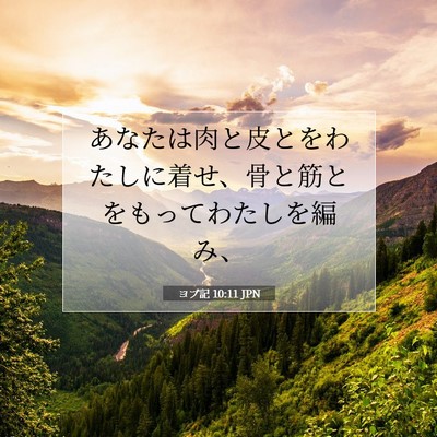 ヨブ記 10:11 聖書の一節の解説