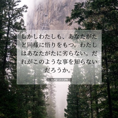 ヨブ記 12:3 聖書の一節の解説