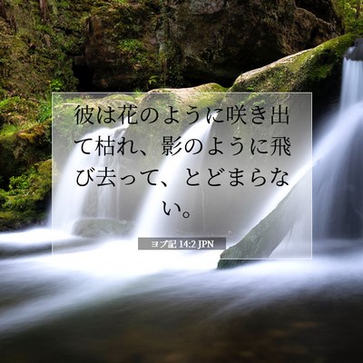ヨブ記 14:2 聖書の一節の解説