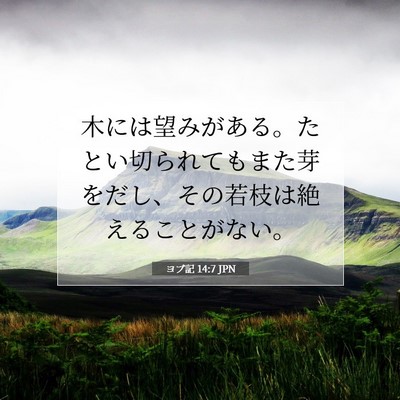 ヨブ記 14:7 聖書の一節の解説