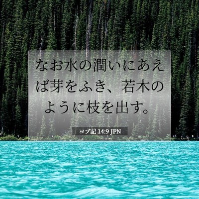 ヨブ記 14:9 聖書の一節の解説