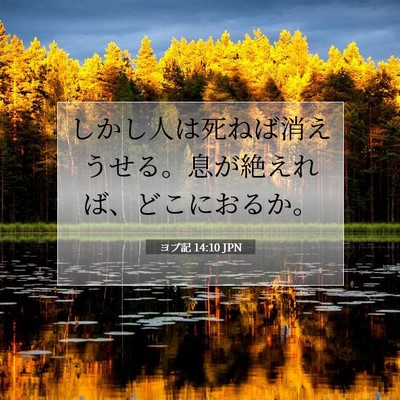 ヨブ記 14:10 聖書の一節の解説