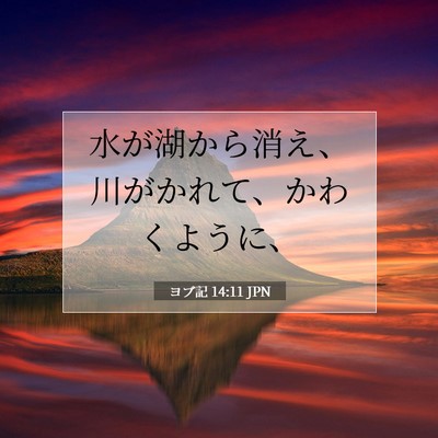 ヨブ記 14:11 聖書の一節の解説