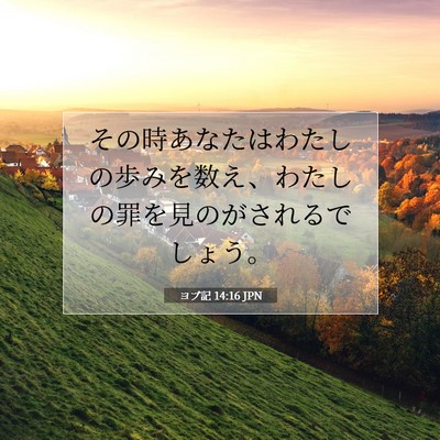 ヨブ記 14:16 聖書の一節の解説
