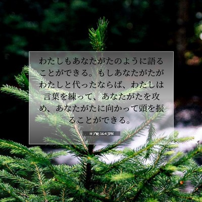 ヨブ記 16:4 聖書の一節の解説