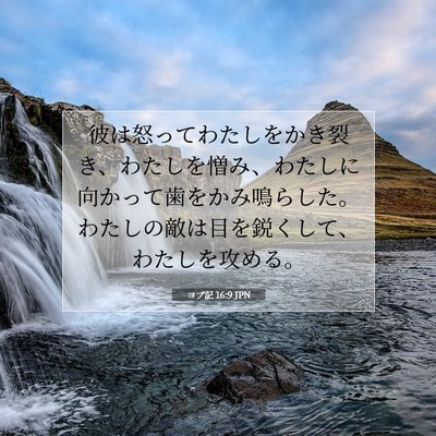 ヨブ記 16:9 聖書の一節の解説