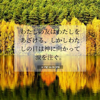 ヨブ記 16:20 聖書の一節の解説