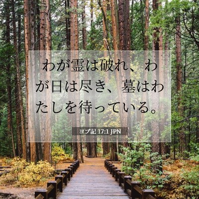 ヨブ記 17:1 聖書の一節の解説