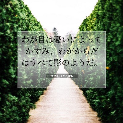 ヨブ記 17:7 聖書の一節の解説