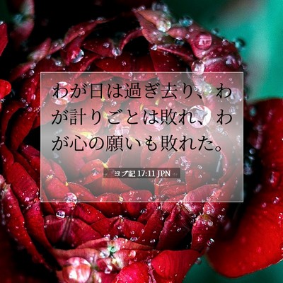 ヨブ記 17:11 聖書の一節の解説