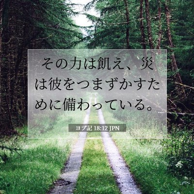 ヨブ記 18:12 聖書の一節の解説