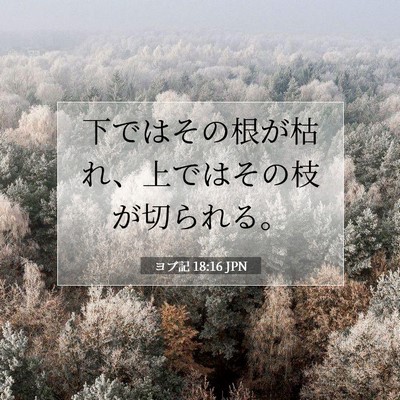 ヨブ記 18:16 JPN 聖書の一節の画像