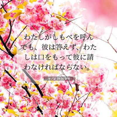 ヨブ記 19:16 聖書の一節の解説