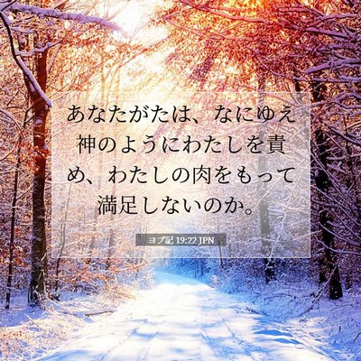 ヨブ記 19:22 聖書の一節の解説