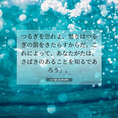 ヨブ記 19:29 聖書の一節の解説