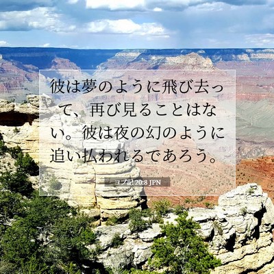 ヨブ記 20:8 聖書の一節の解説