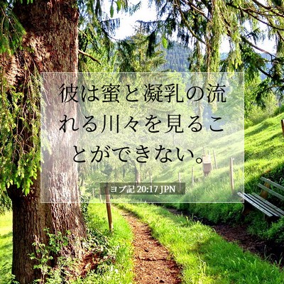 ヨブ記 20:17 聖書の一節の解説