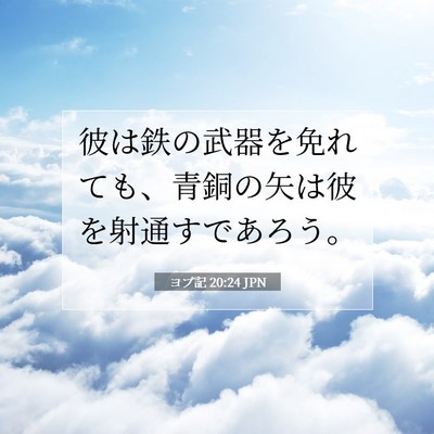 ヨブ記 20:24 聖書の一節の解説