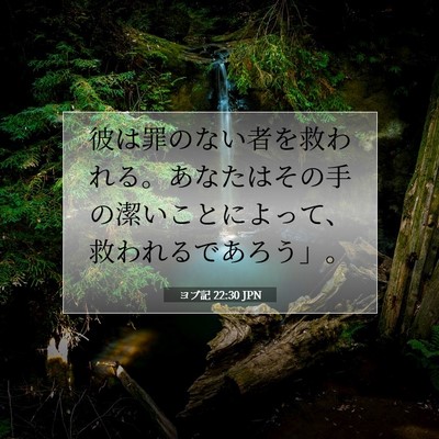 ヨブ記 22:30 聖書の一節の解説