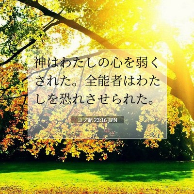 ヨブ記 23:16 聖書の一節の解説