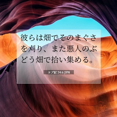 ヨブ記 24:6 聖書の一節の解説