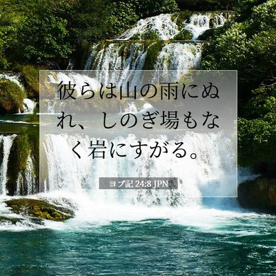 ヨブ記 24:8 聖書の一節の解説