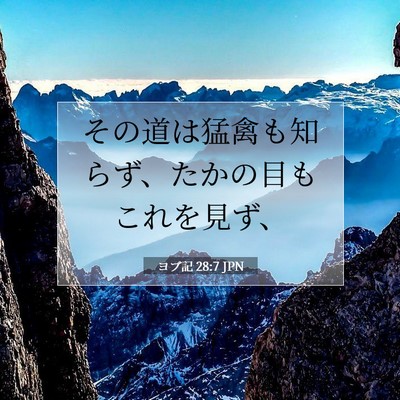 ヨブ記 28:7 聖書の一節の解説