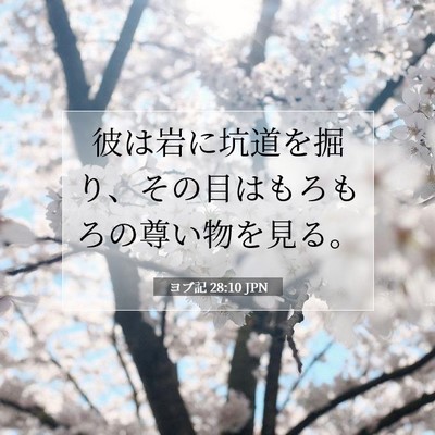 ヨブ記 28:10 聖書の一節の解説