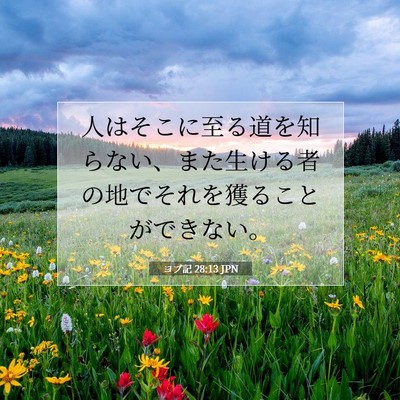 ヨブ記 28:13 聖書の一節の解説
