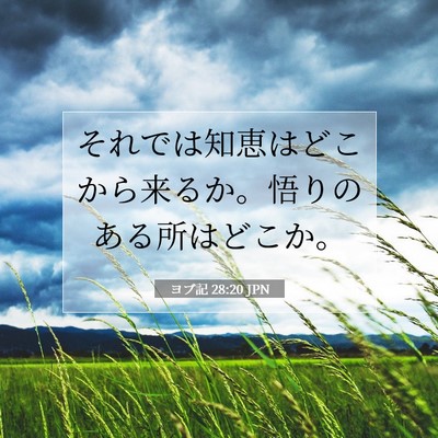 ヨブ記 28:20 聖書の一節の解説